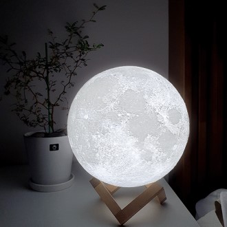 ���ڶ� �޹���� ������